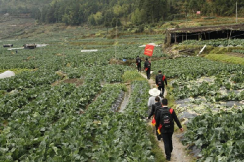 福建農(nóng)信：牢記囑托，為決戰(zhàn)決勝脫貧攻堅與成果拓展鞏固注入金融動能